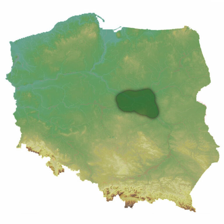 Read more about the article Znajomość mapy fizycznej Polski